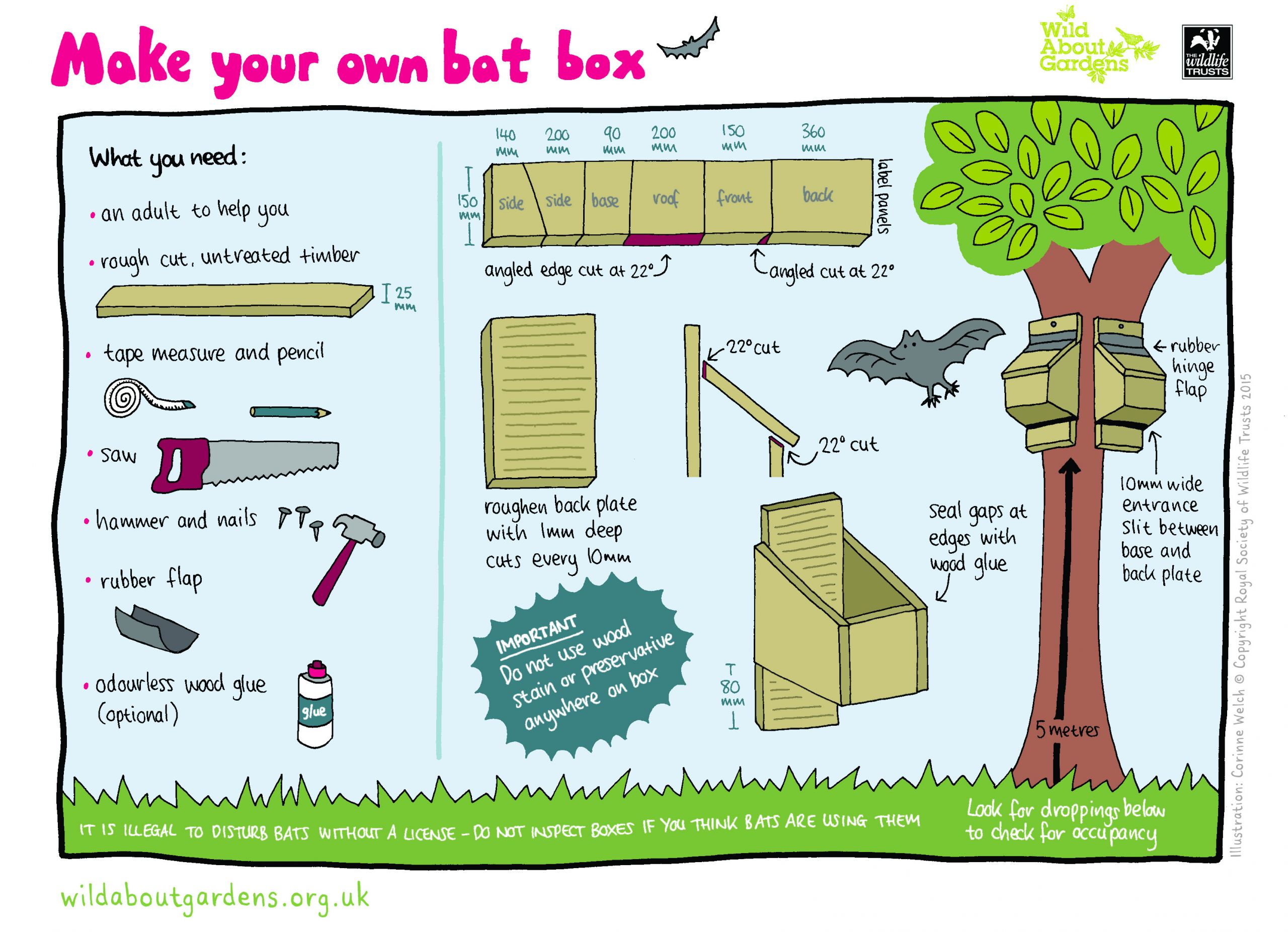 Bat Boxes DIY
 How to build a bat box