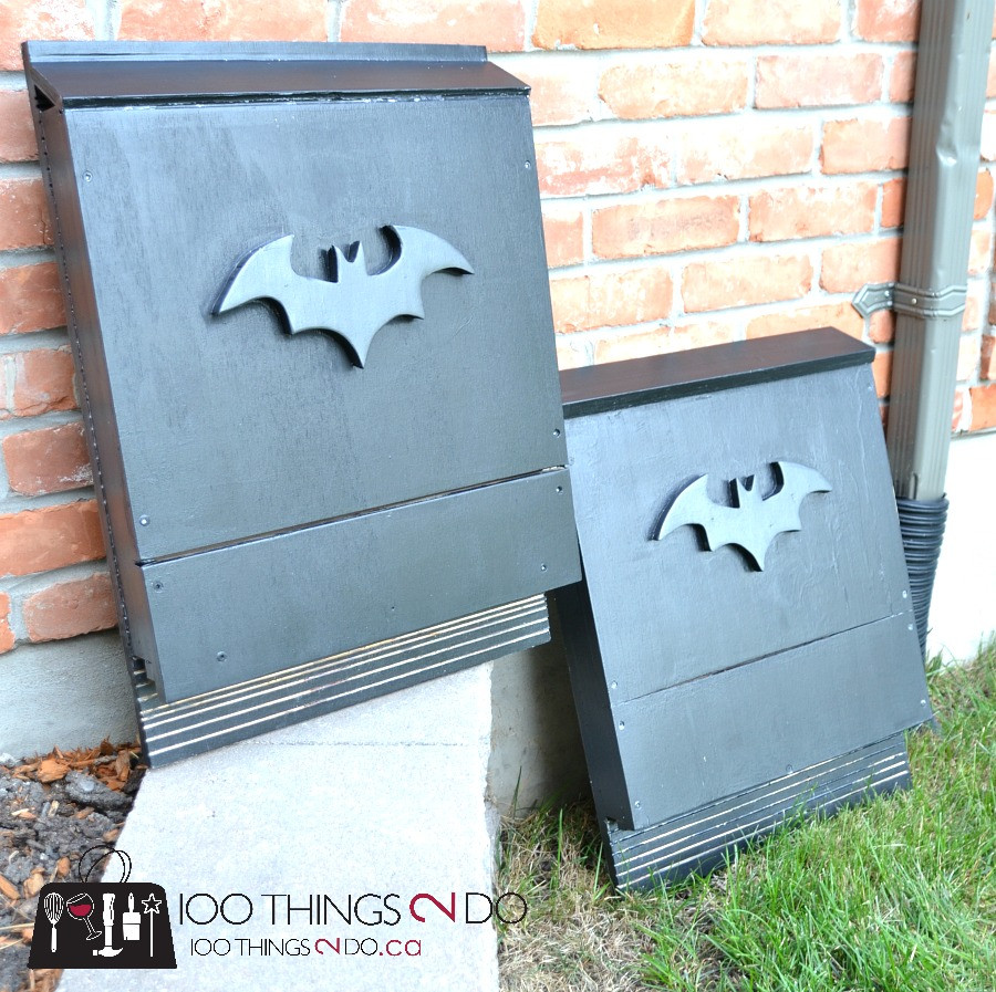 Bat Boxes DIY
 DIY bat box