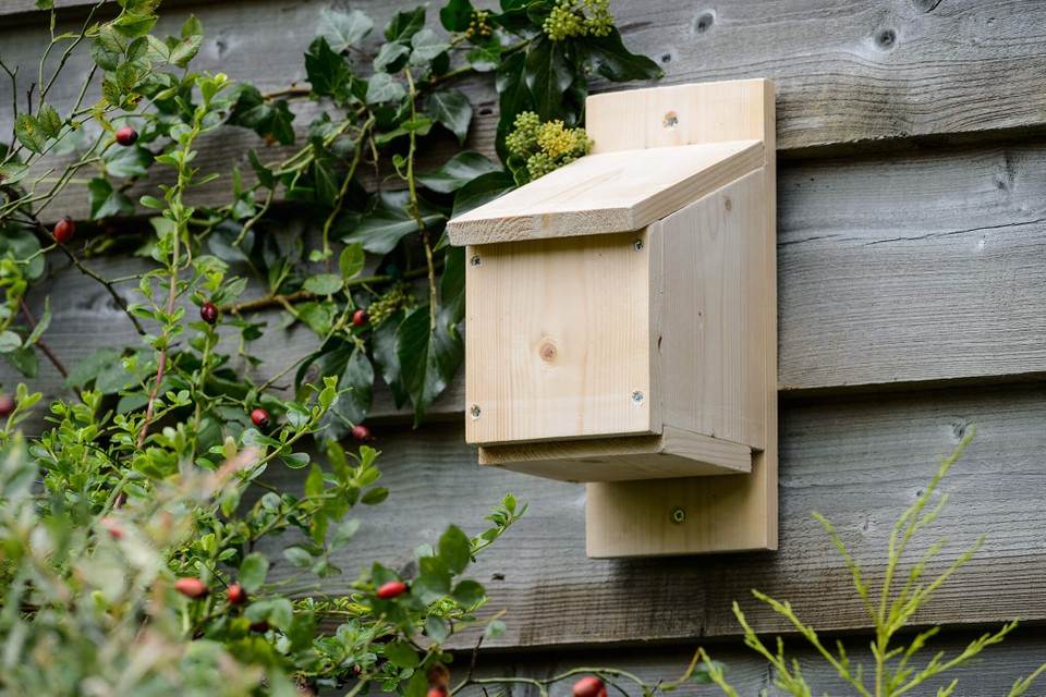 Bat Boxes DIY
 Make a Bat Box Step by Step gardenersworld