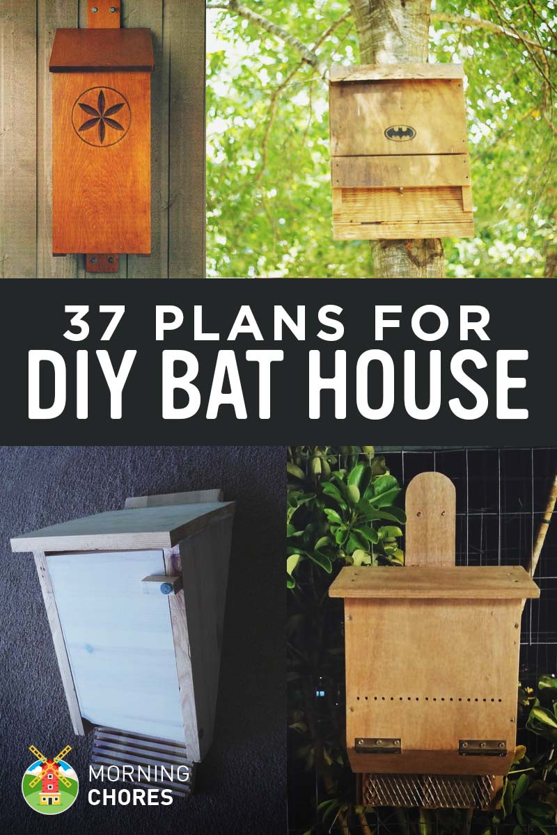 Bat Boxes DIY
 37 Free DIY Bat House Plans that Will Attract the Natural