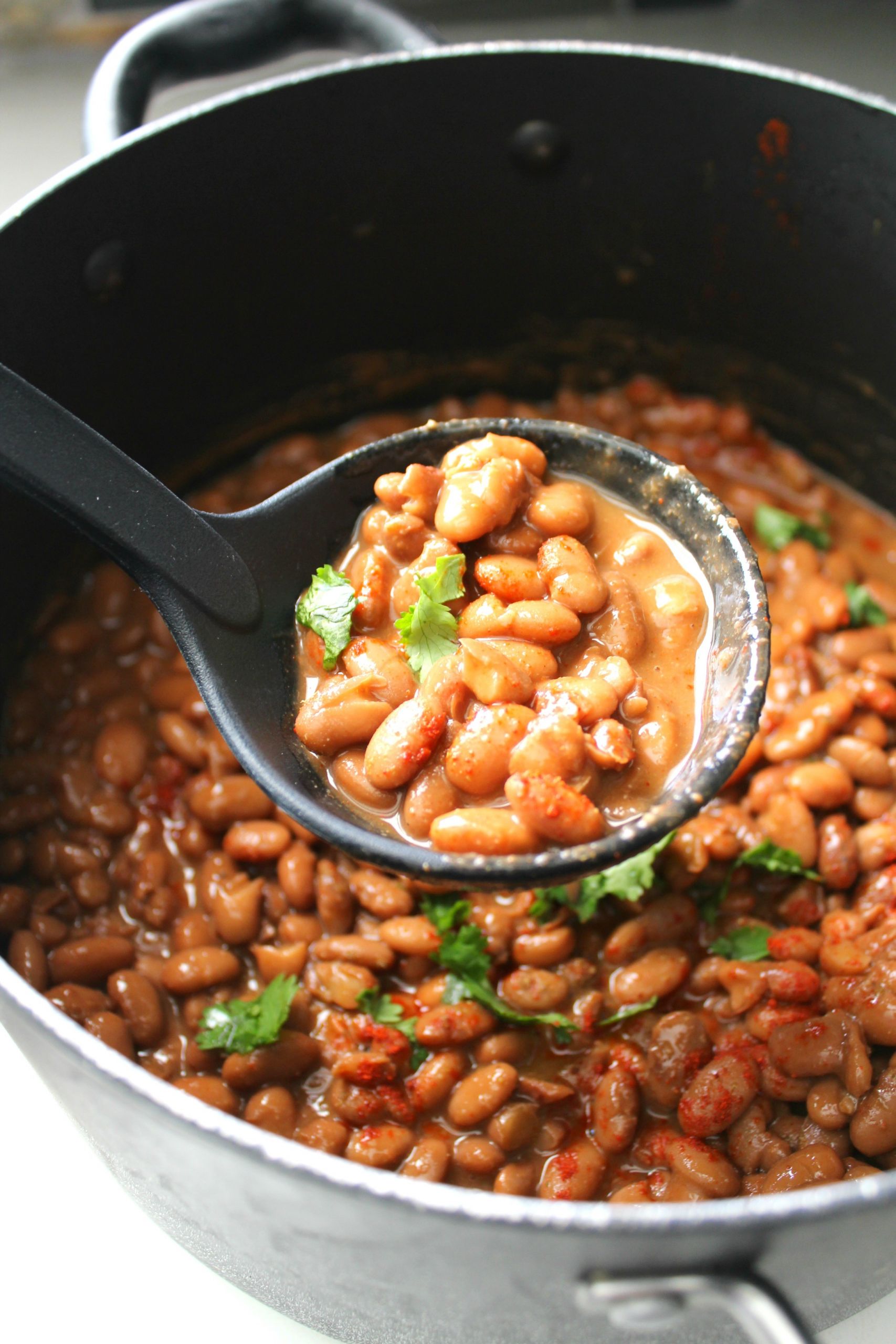 Bean Recipes Vegan
 Mexican Pinto Beans This Savory Vegan