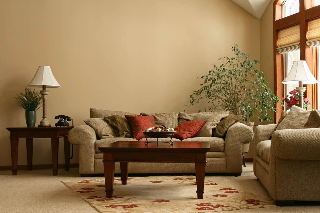 Beige Living Room Walls
 80 Beige Living Room Ideas s