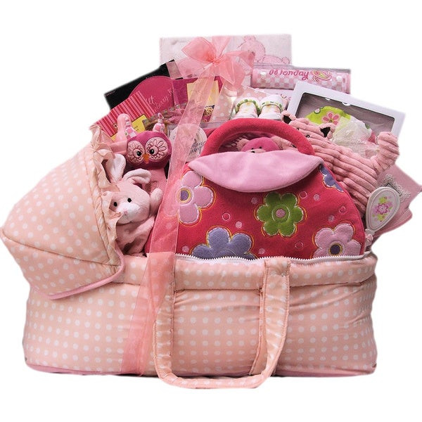 Best Baby Girl Gift
 Shop Great Arrivals Best Wishes Baby Girl Gift Basket