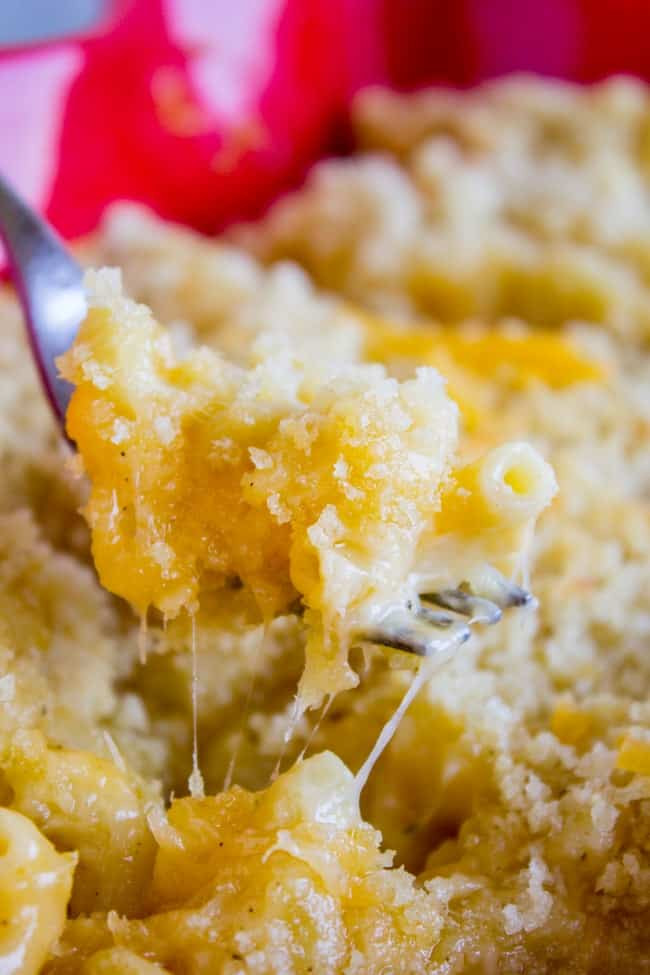 Best Baked Macaroni And Cheese Recipes
 Literally the Best Mac and Cheese Ever The Food Charlatan