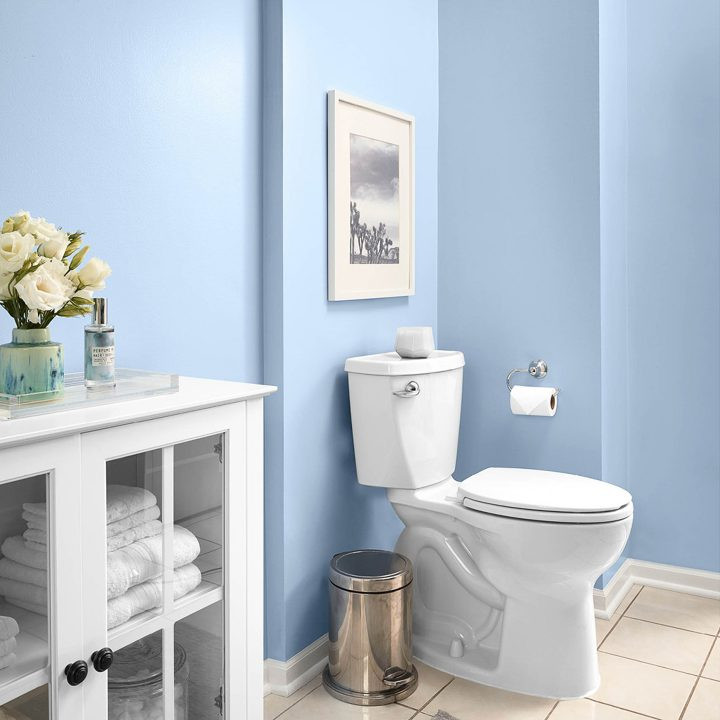 Best Bathroom Colors 2020
 2020 Paint Color Trends