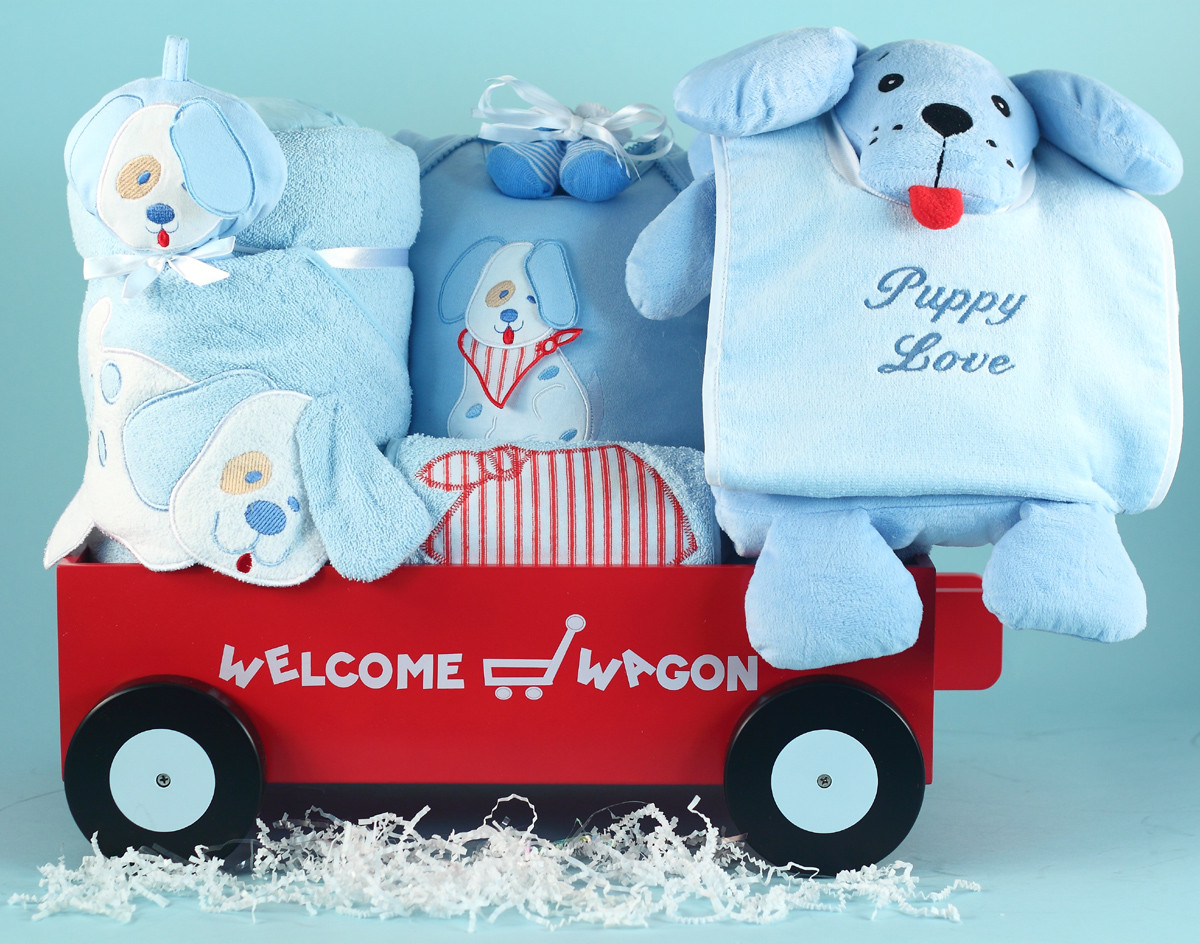 Best Boy Baby Gifts
 5 Best Baby Boy Gifts News from Silly Phillie