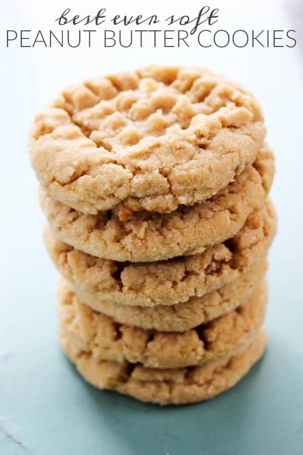 Best Chewy Peanut Butter Cookies
 BEST EVER SOFT PEANUT BUTTER COOKIES A Dash of Sanity