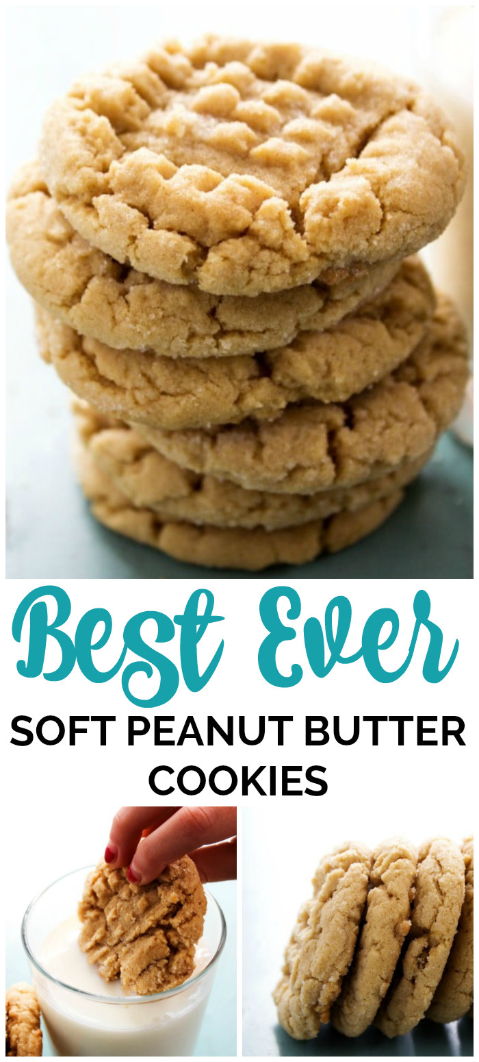 Best Chewy Peanut Butter Cookies
 Best Ever Soft Peanut Butter Cookies A Dash of Sanity