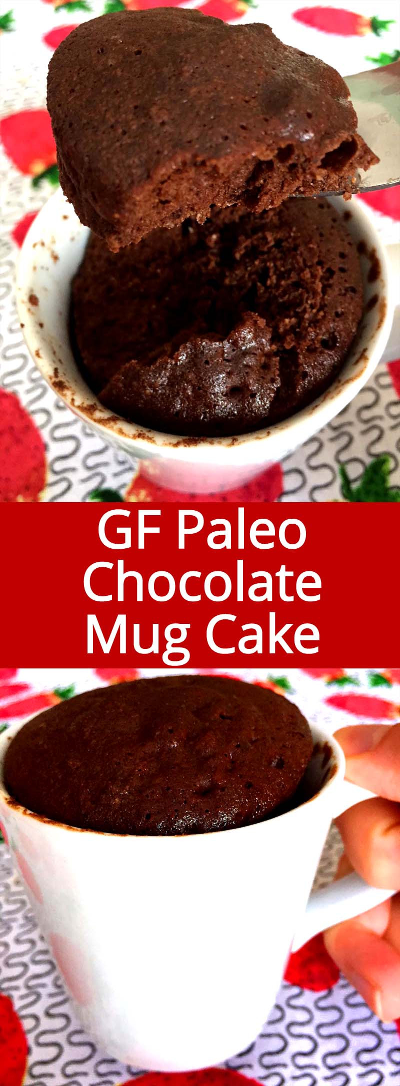 Best Chocolate Mug Cake
 Healthy Chocolate Mug Cake Recipe Gluten Free Paleo