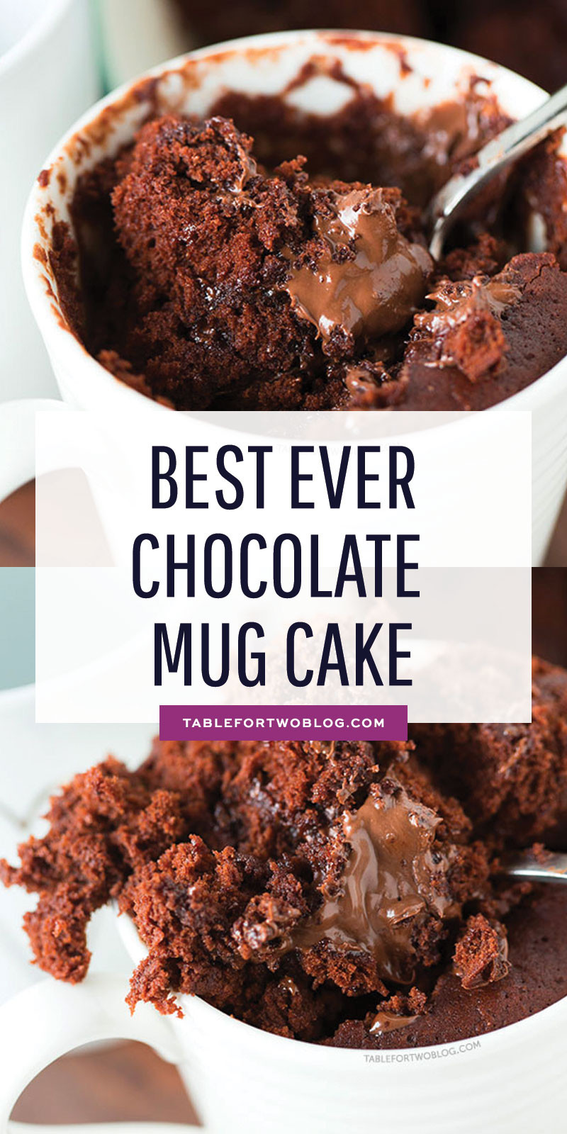 Best Chocolate Mug Cake
 The Moistest Chocolate Mug Cake Mug Cake For e or Two