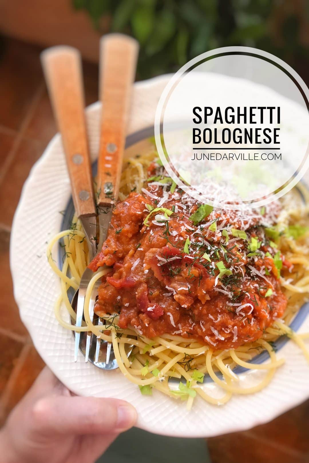 Best Homemade Spaghetti Sauce
 Spaghetti Sauce Homemade & Best Ever