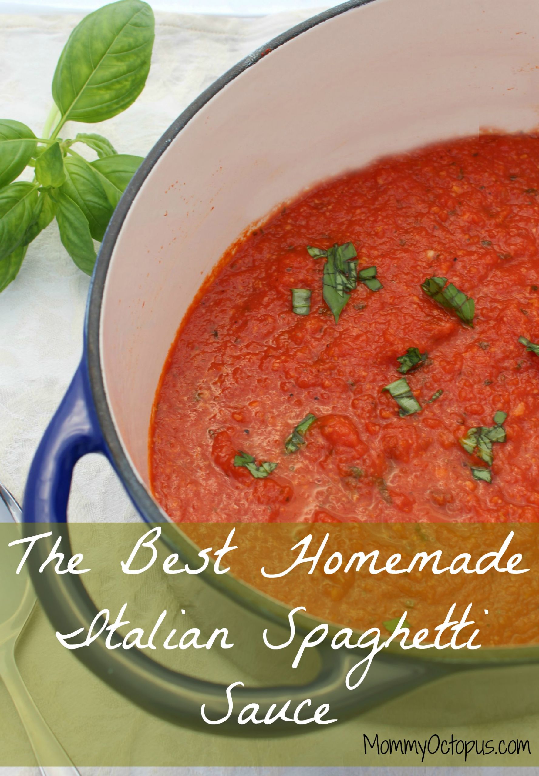 Best Homemade Spaghetti Sauce
 The Best Homemade Italian Spaghetti Sauce Mommy Octopus