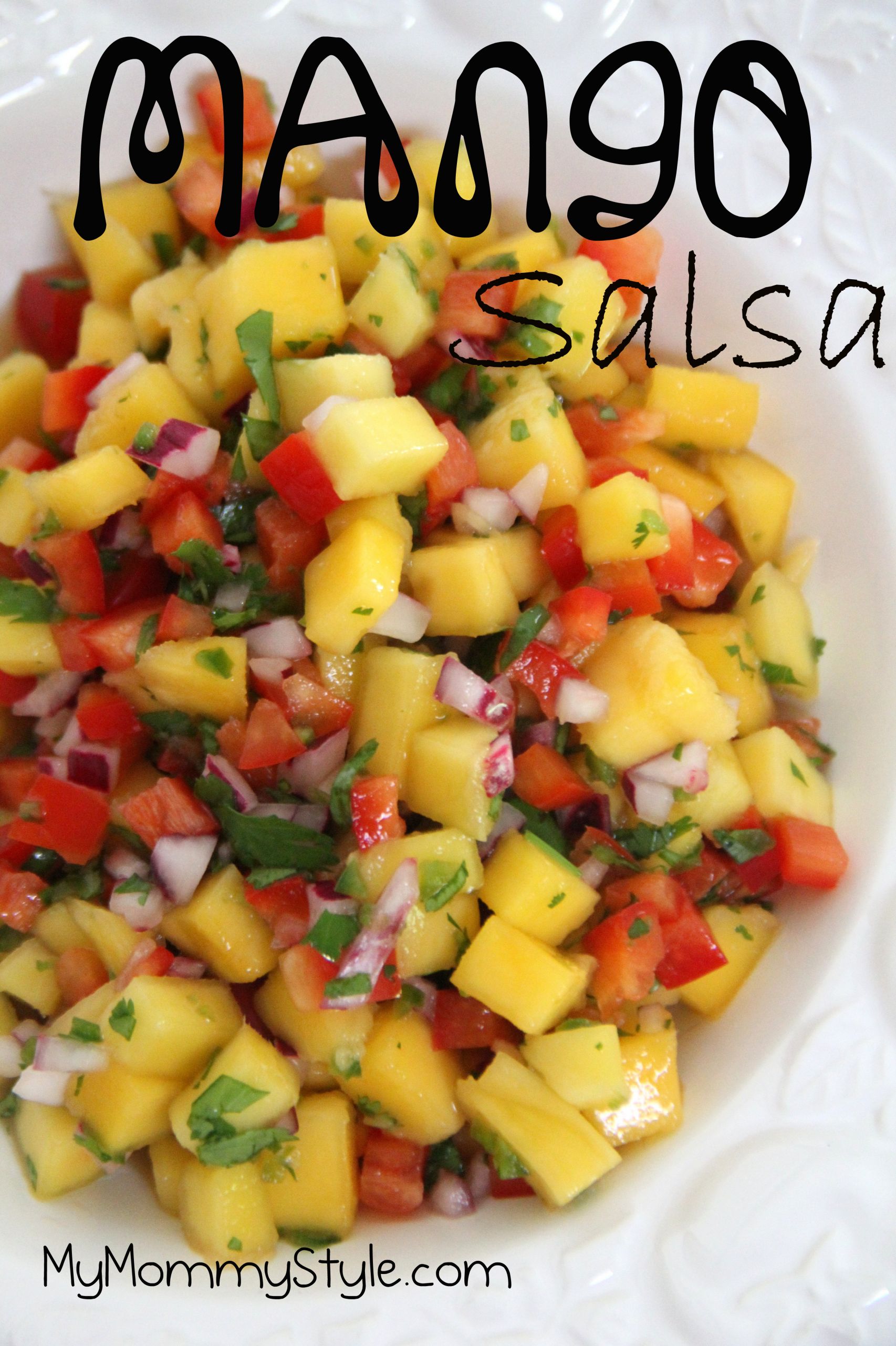 Best Mango Salsa Recipes
 Mango Salsa