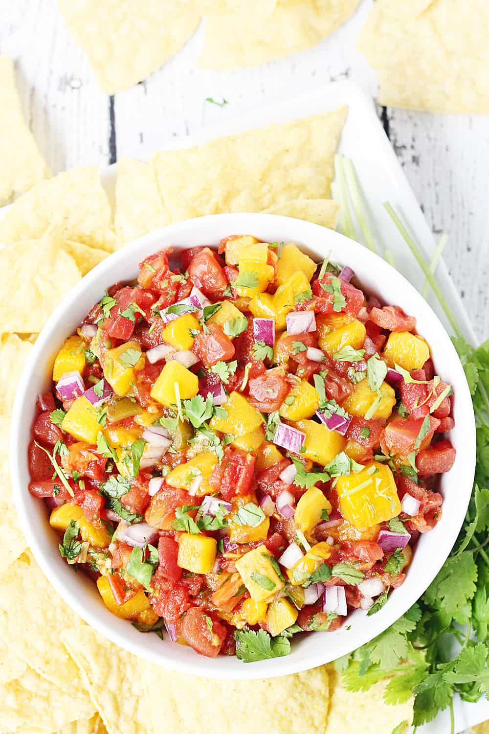 Best Mango Salsa Recipes
 Easy Mango Salsa