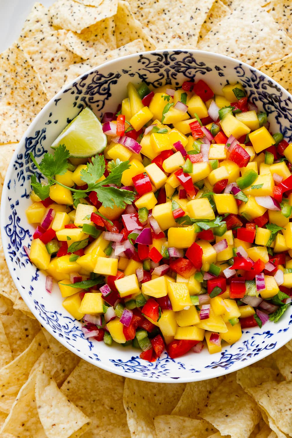 Best Mango Salsa Recipes
 Fresh Mango Salsa Quick & Easy Recipe The Simple Veganista