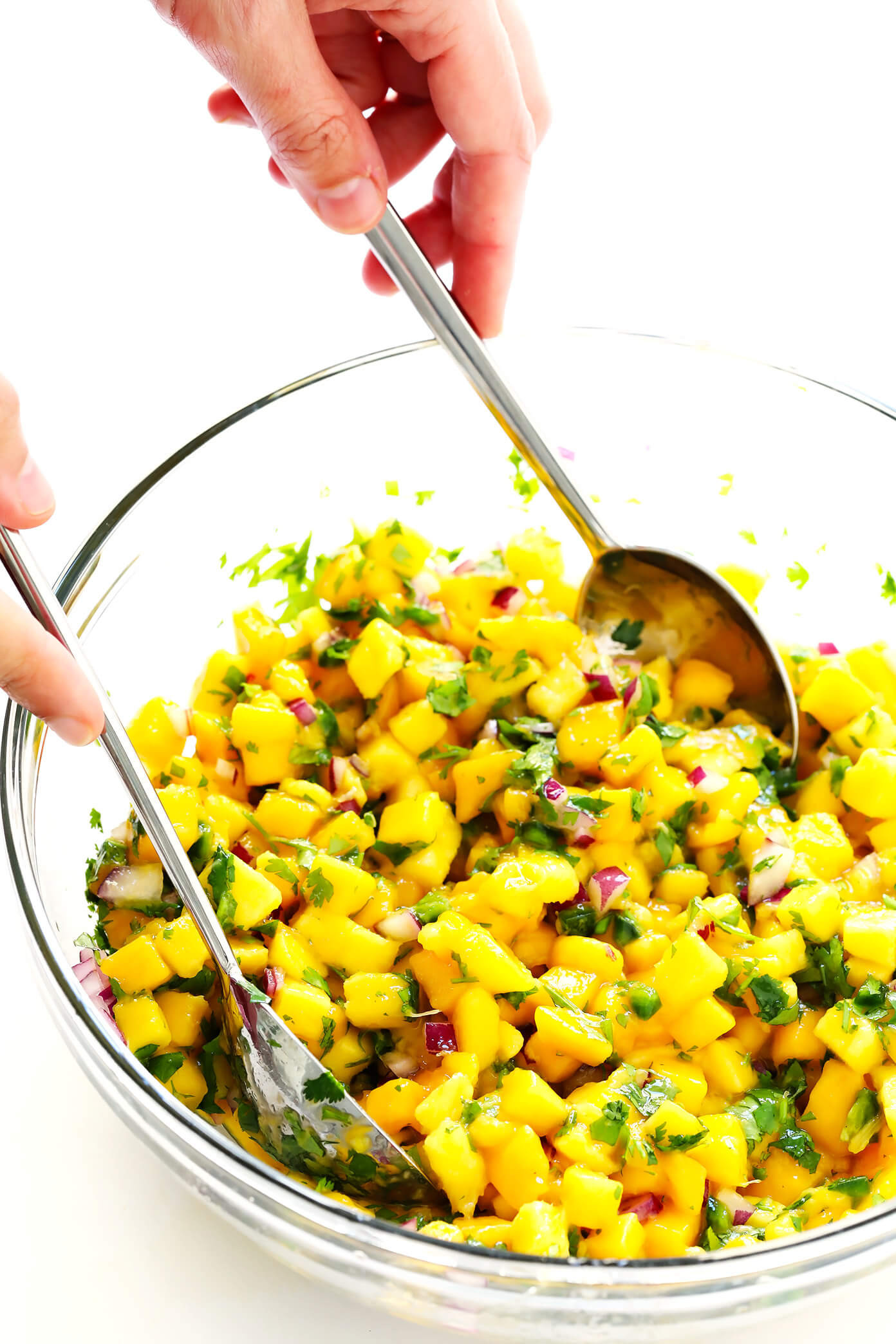 Best Mango Salsa Recipes
 5 Ingre nt Mango Salsa Recipe