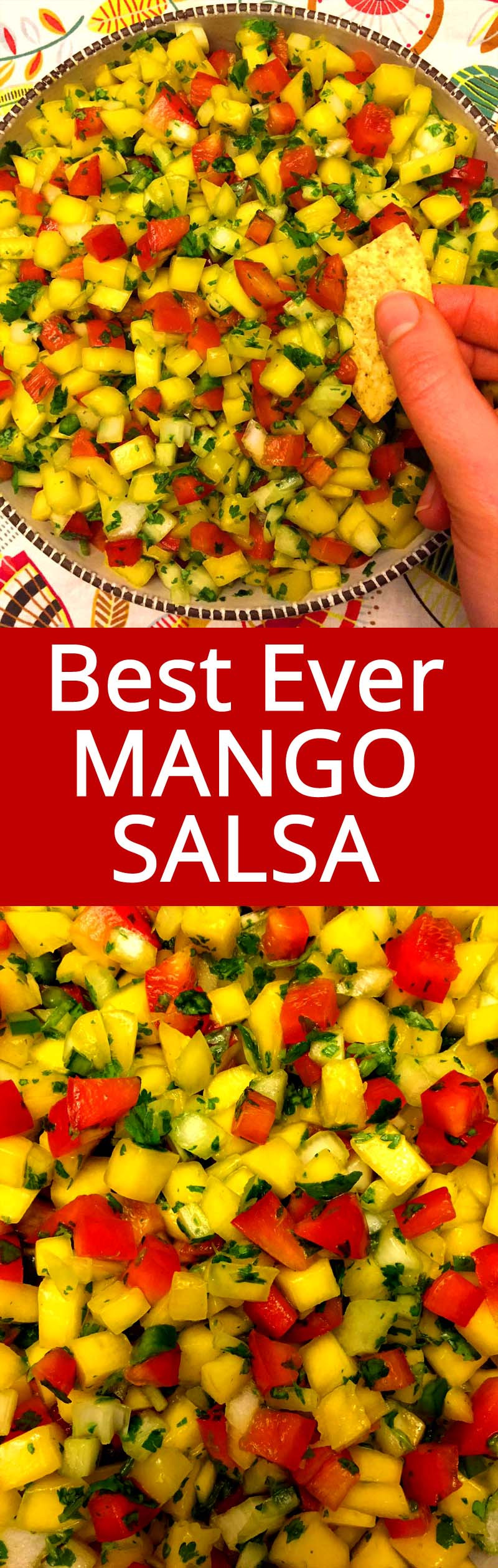 Best Salsa Recipe Ever
 Easy Mango Salsa Recipe – Melanie Cooks