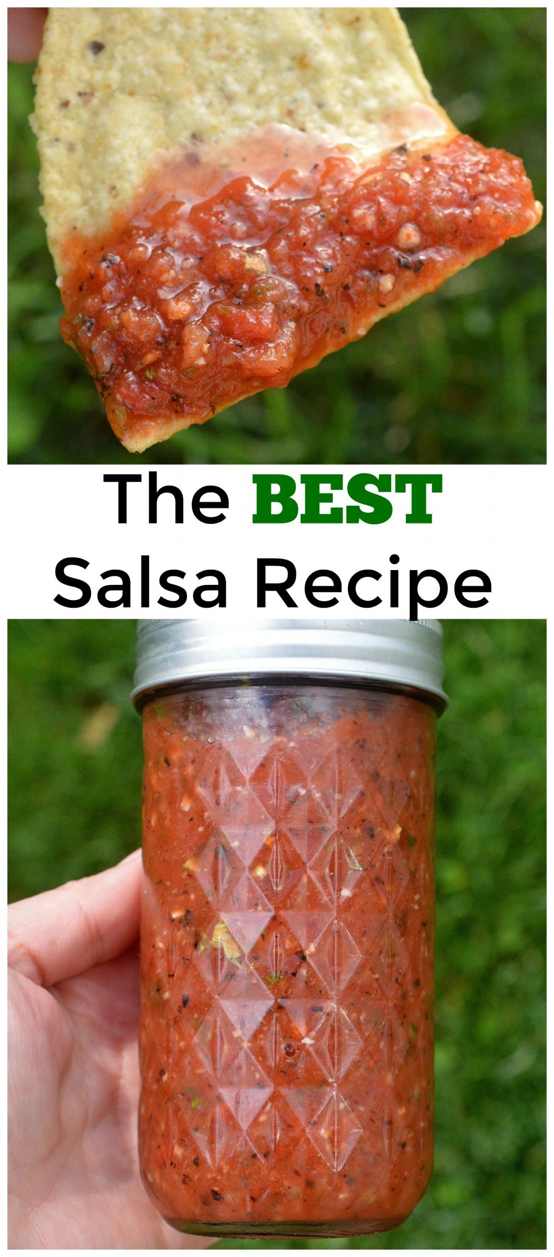 Best Salsa Recipe Ever
 The BEST and Easiest Salsa Recipe