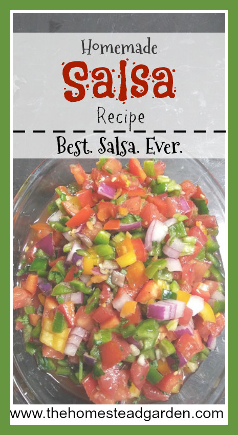 Best Salsa Recipe Ever
 Homemade Salsa Recipe The Homestead Garden