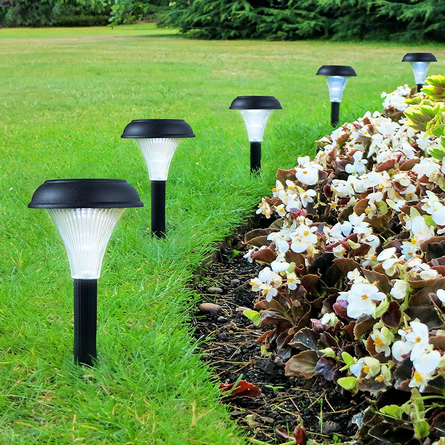 Best Solar Landscape Lights
 Top 15 Best Solar Path Lights in 2018