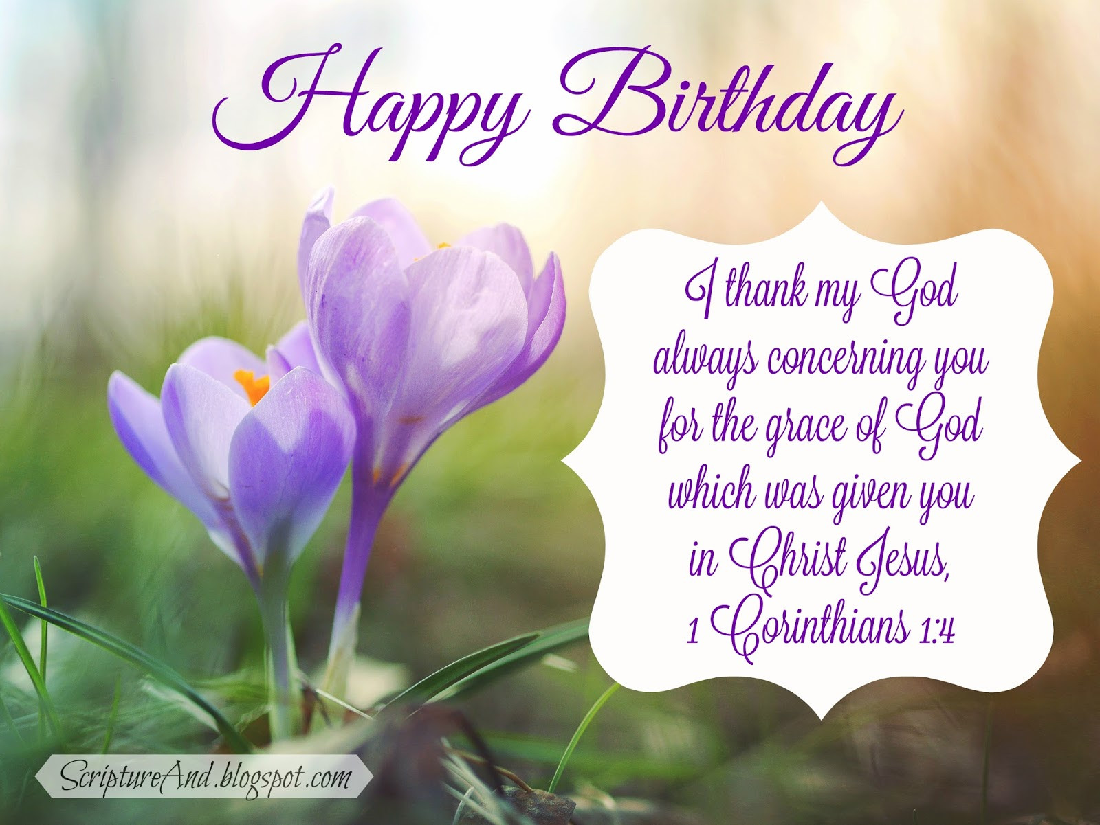 Biblical Birthday Quotes
 Scripture and Free Birthday with Bible Verses