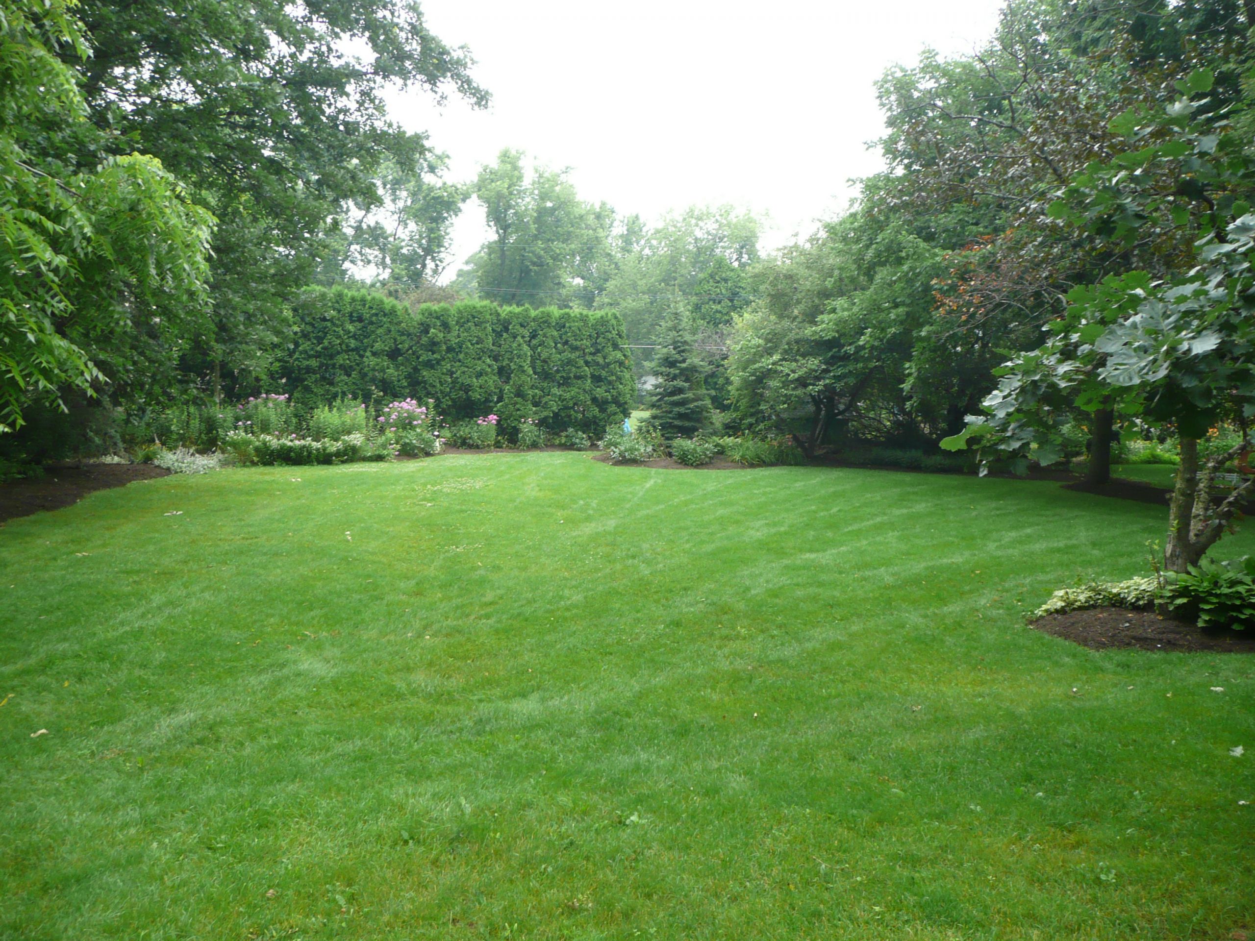 Big Backyard Landscaping Ideas
 big backyard