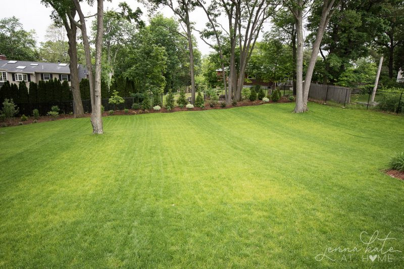 Big Backyard Landscaping Ideas
 Our Yard This Spring Backyard Landscaping Inspiration