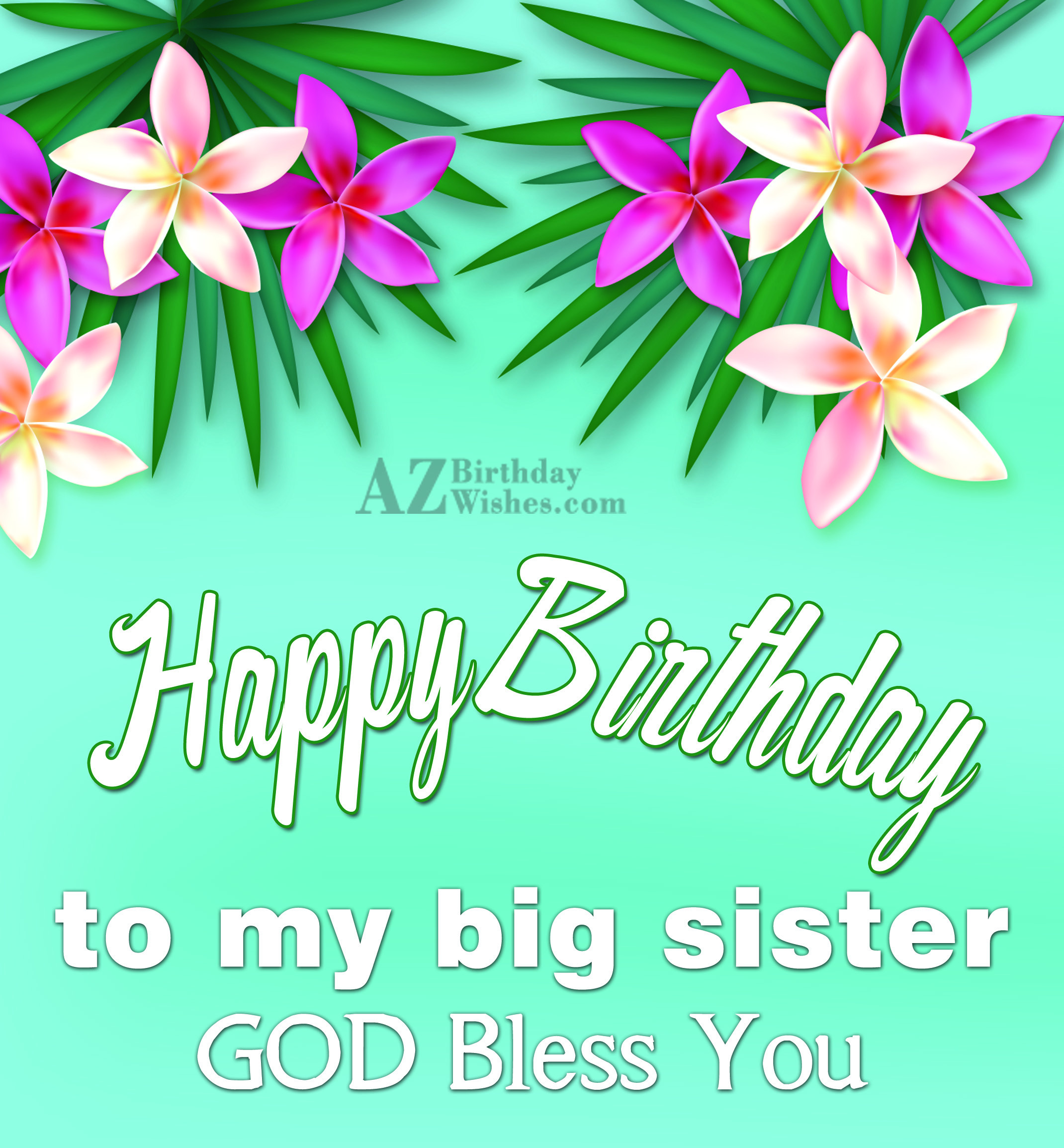 Big Sister Birthday Wishes
 Birthday Wishes For Sister
