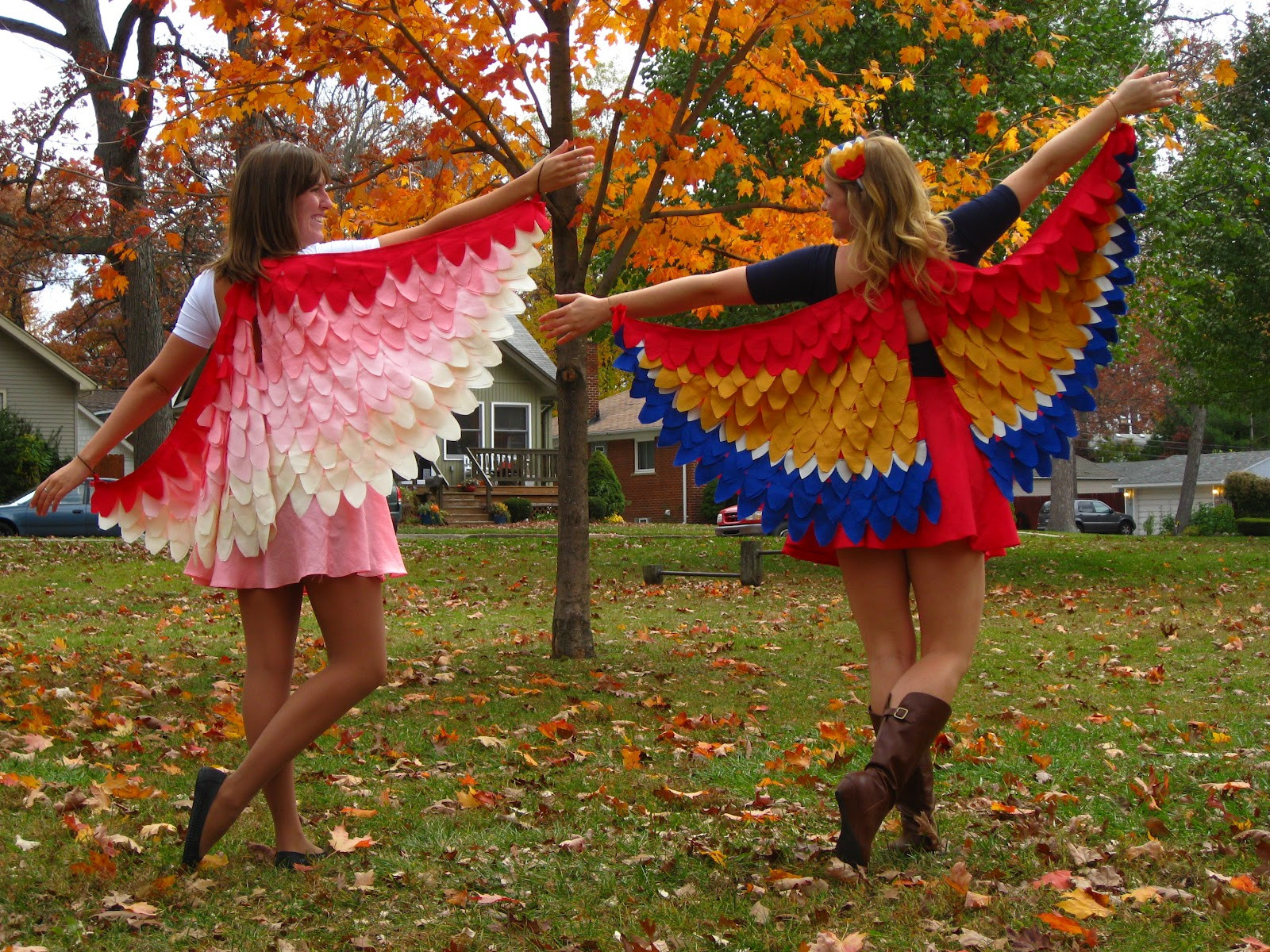 Bird Costume DIY
 Bird Wings