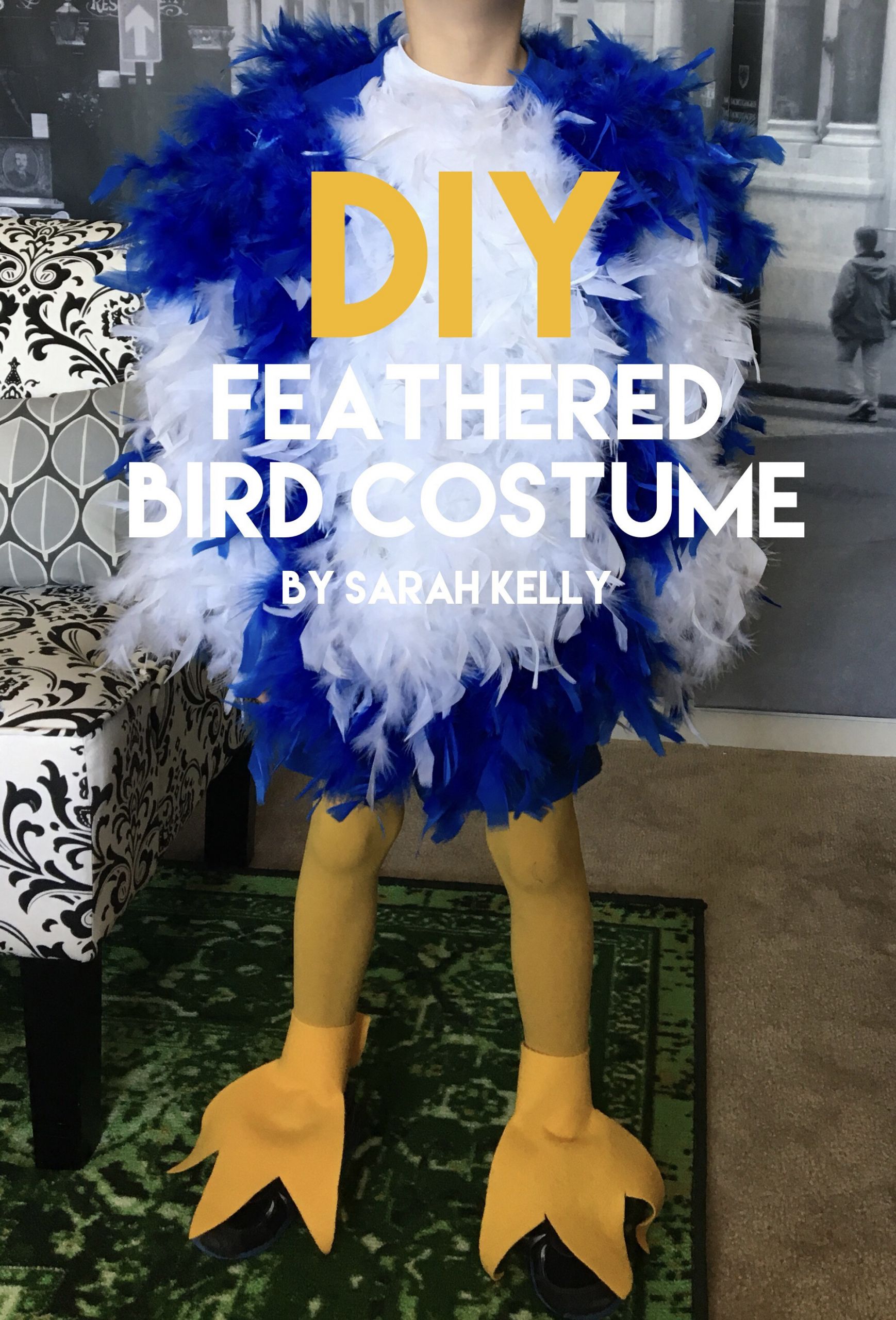 Bird Costume DIY
 DIY Bird Costume