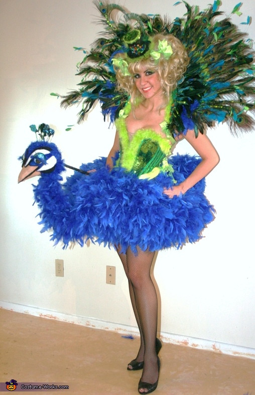 Bird Costume DIY
 7 Amazing DIY Bird Costumes