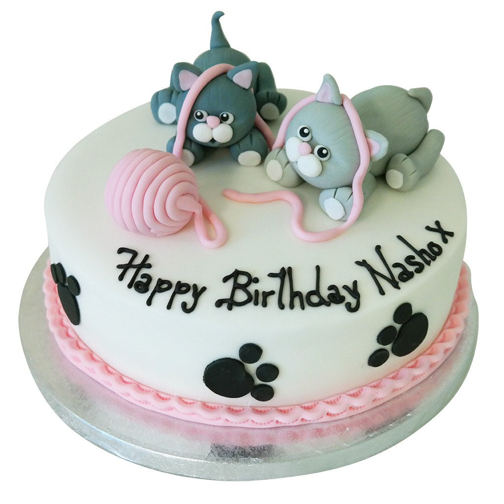 Birthday Cake For Cats
 Cat Birthday Cake Buy line Free Next Day Delivery