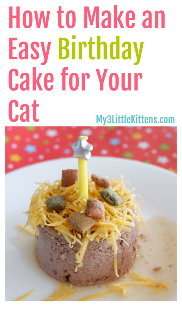 Birthday Cake For Cats Recipe
 This Easy Birthday Cake For Your Cat How To is perfect for