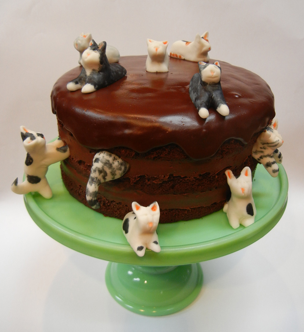 Birthday Cake For Cats
 Ronna s Blog Happy birthday Richard x 2