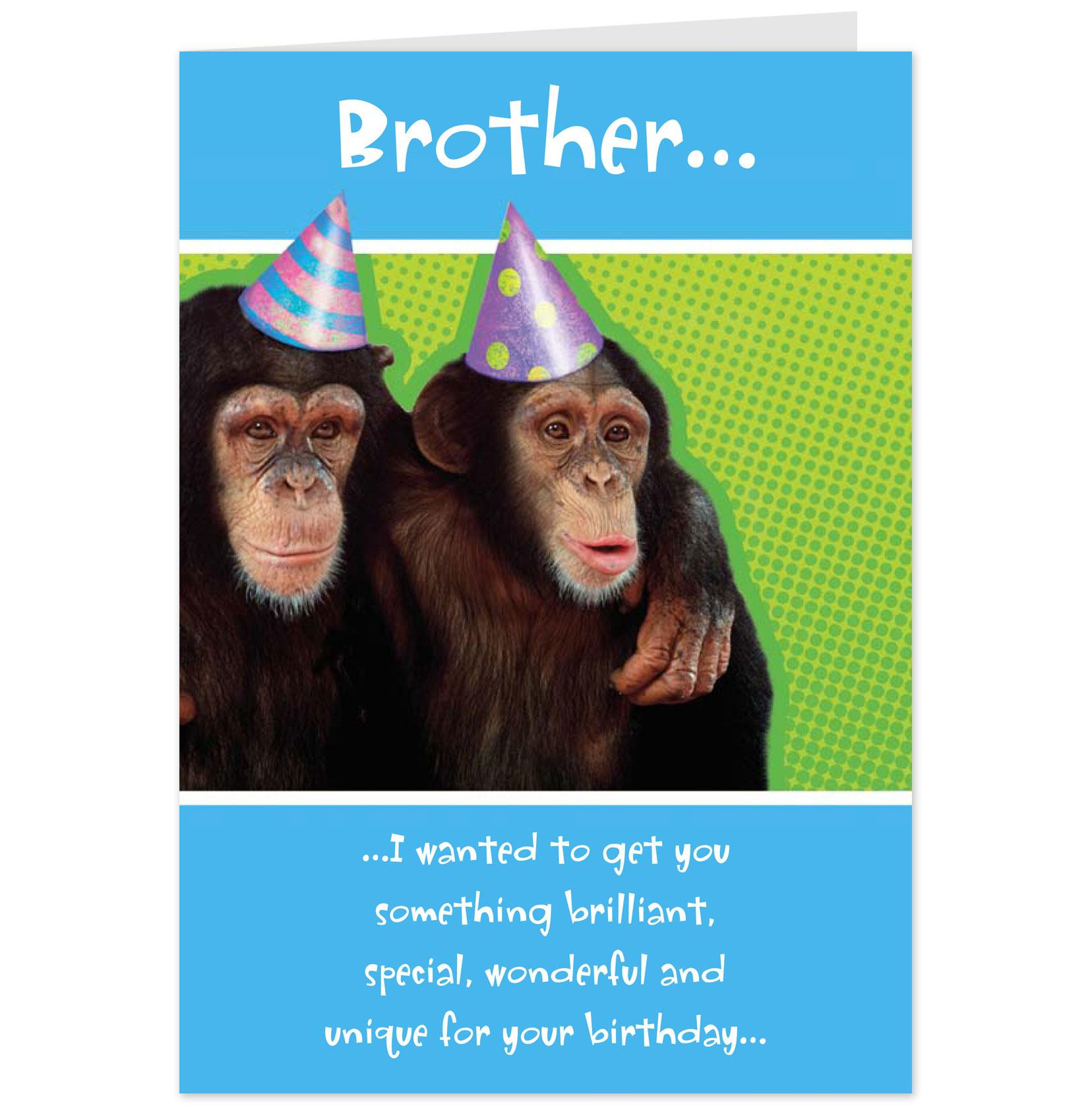 Birthday Cards Online Funny
 Funny Birthday Quotes From Maxine QuotesGram