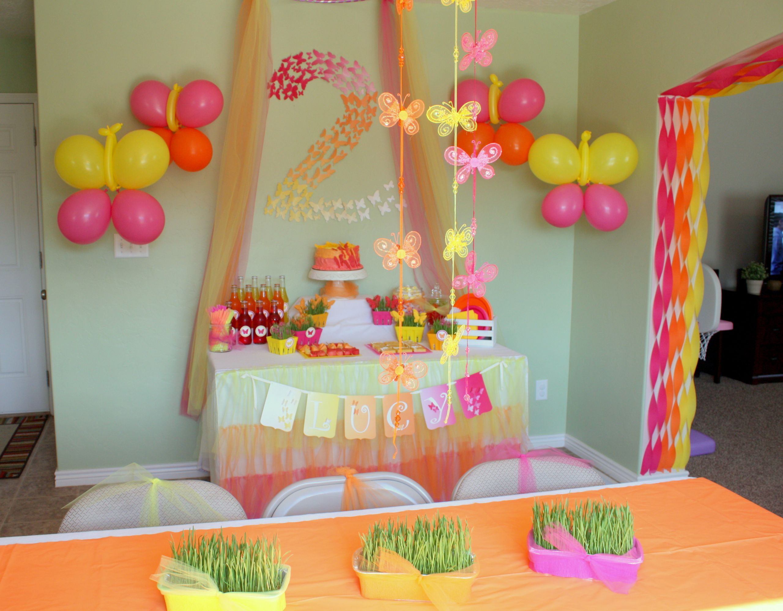 Birthday Decoration
 Butterfly Themed Birthday Party Decorations events to