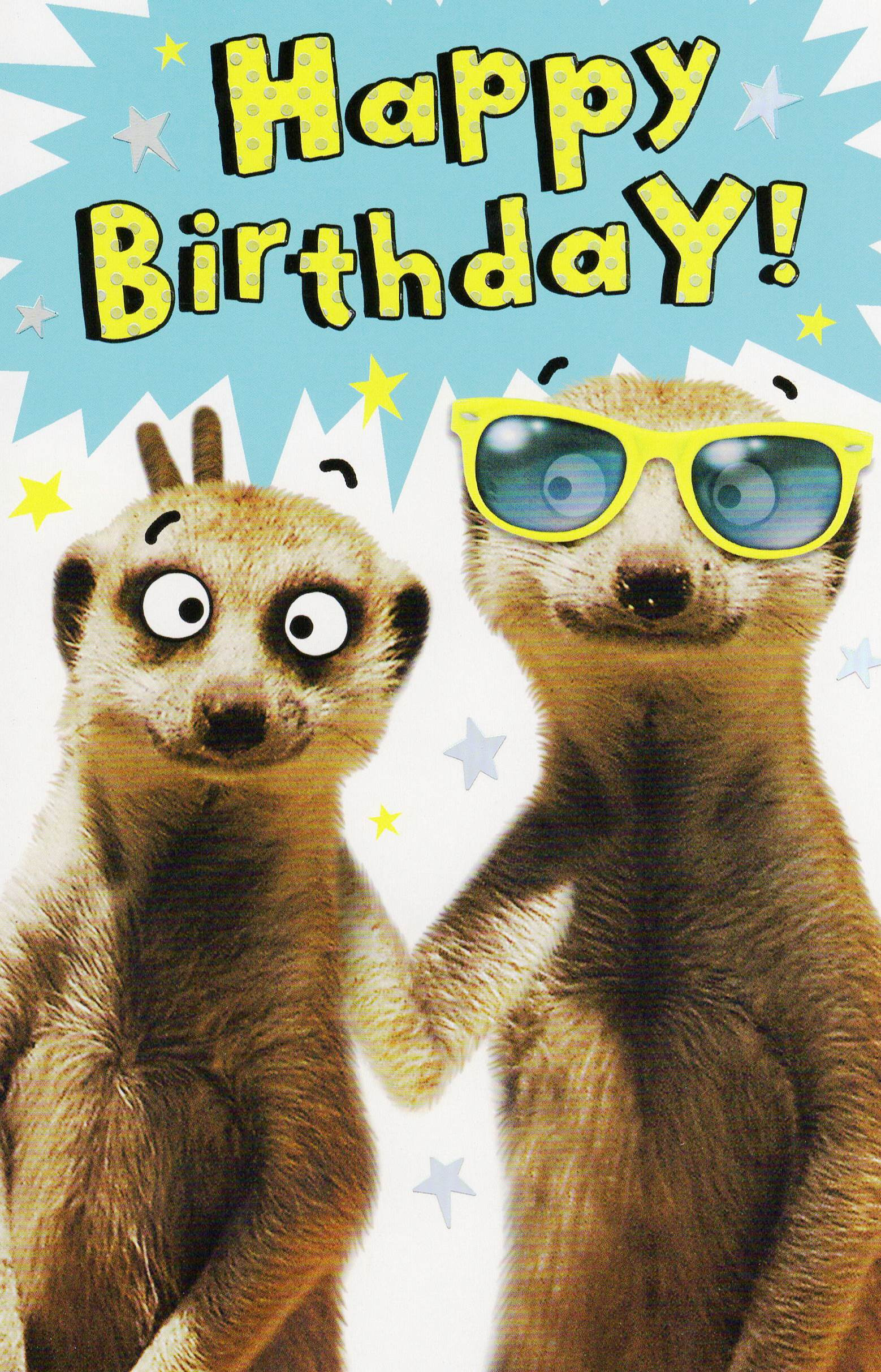 Birthday Funny Cards
 Funny Meerkat Happy Birthday Card Humour Greeting Cards