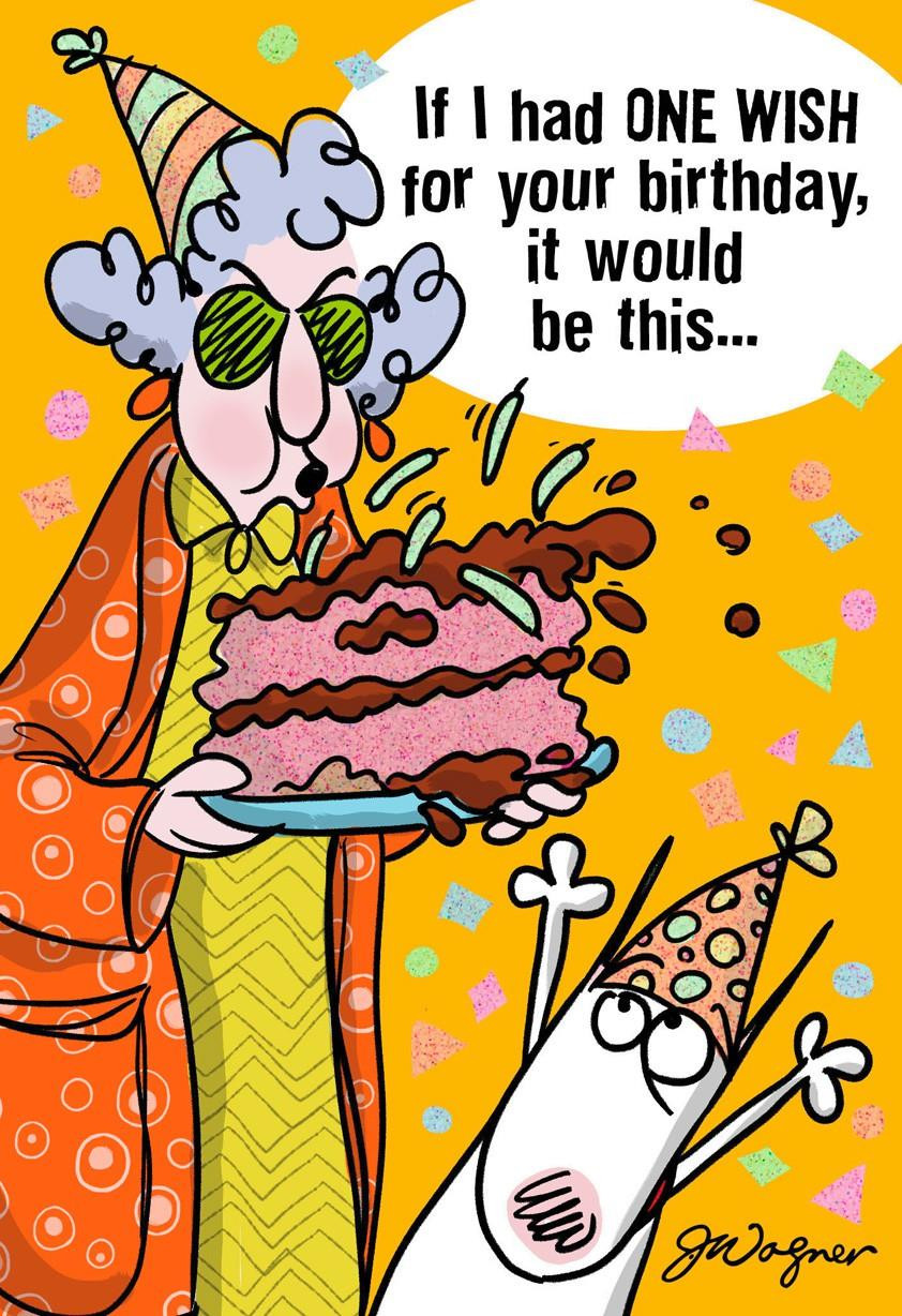 Birthday Funny Cards
 e Wish Funny Birthday Card Greeting Cards Hallmark