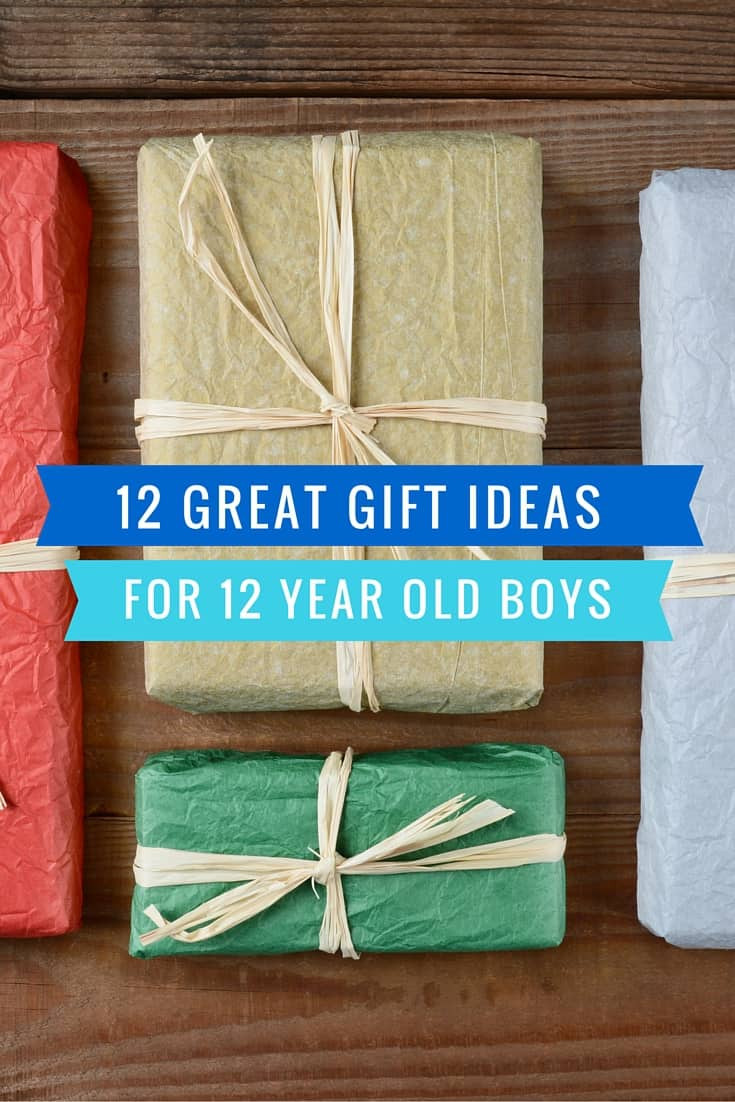 Birthday Gift Ideas 12 Year Old Boy
 12 Great Gift Ideas for a 12 Year Old Boy Mom in the City