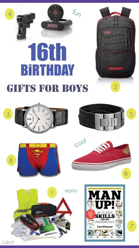 Birthday Gift Ideas For Boys
 8 Gift Ideas for 16 Year Old Boys [Surprise Your Teen Boy