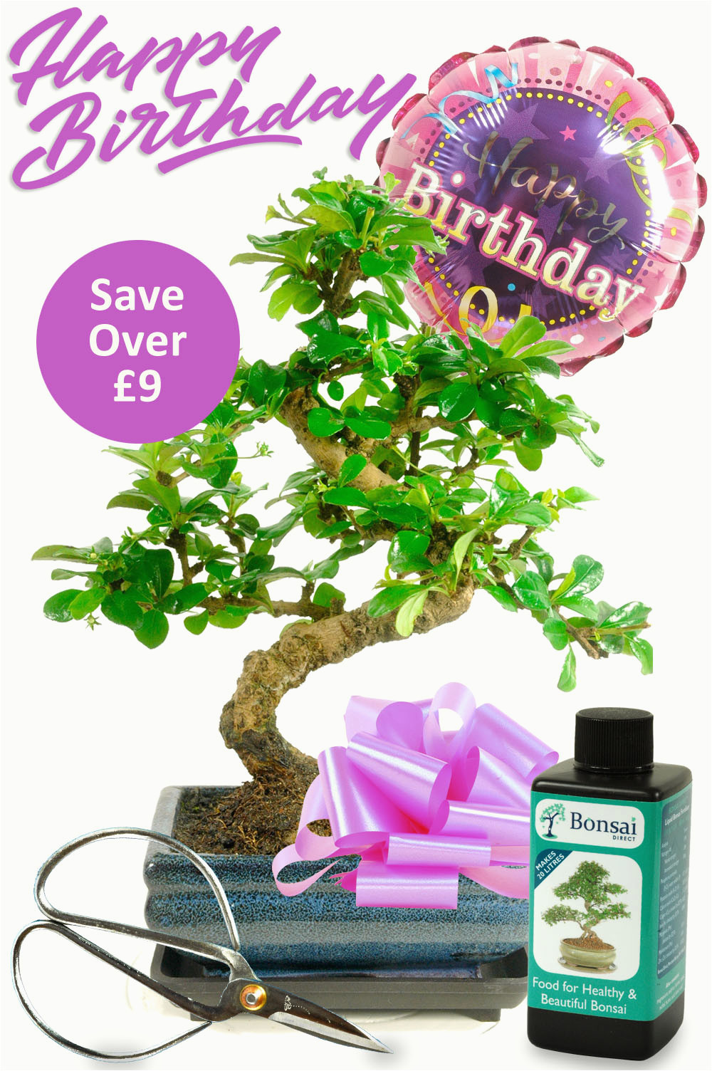 Birthday Gifts Delivered For Her
 Delivery Birthday Gifts for Her Flowering Bonsai Birthday