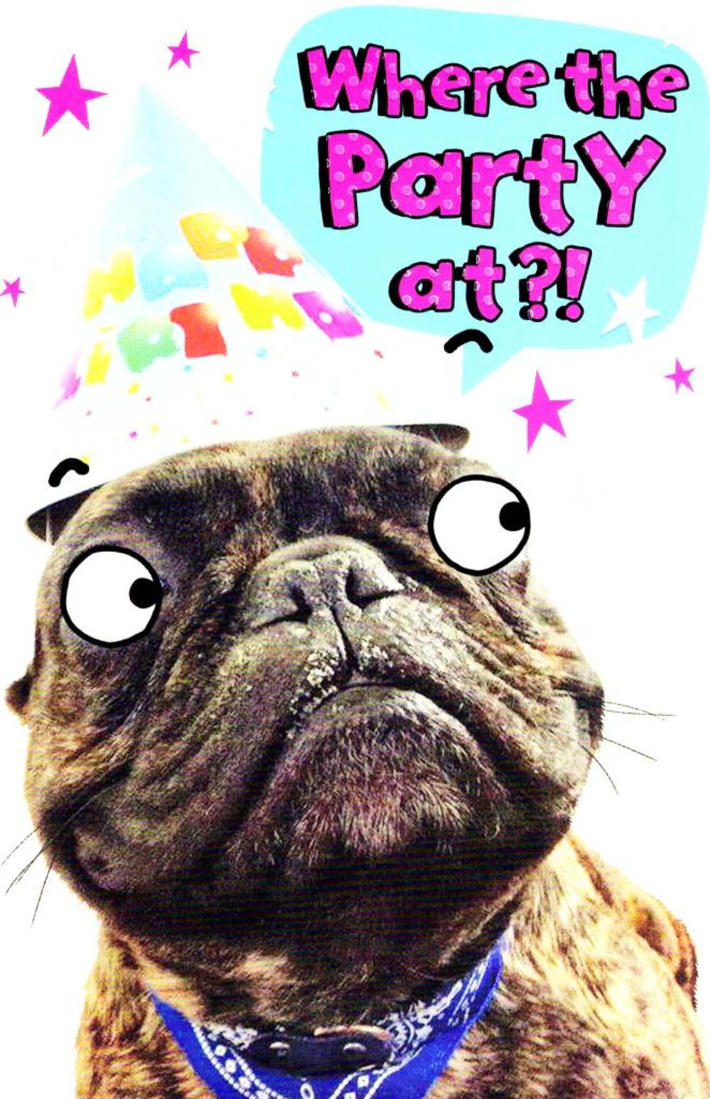 Birthday Party Funny
 Funny Where s The Party Birthday Card Cards