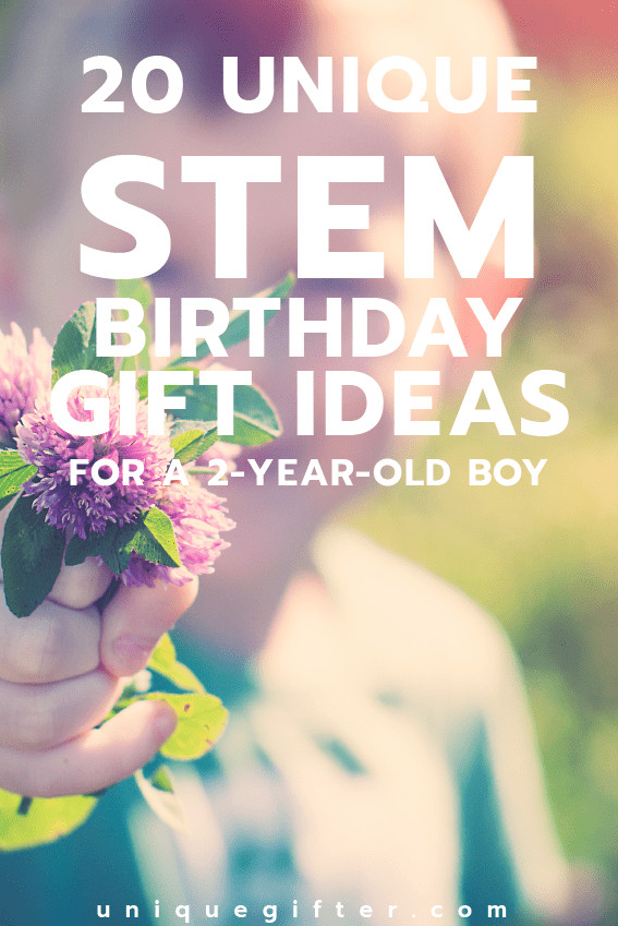 Birthday Party Ideas For 2 Year Old Boy
 20 STEM Birthday Gift Ideas for a 2 Year Old Boy Unique