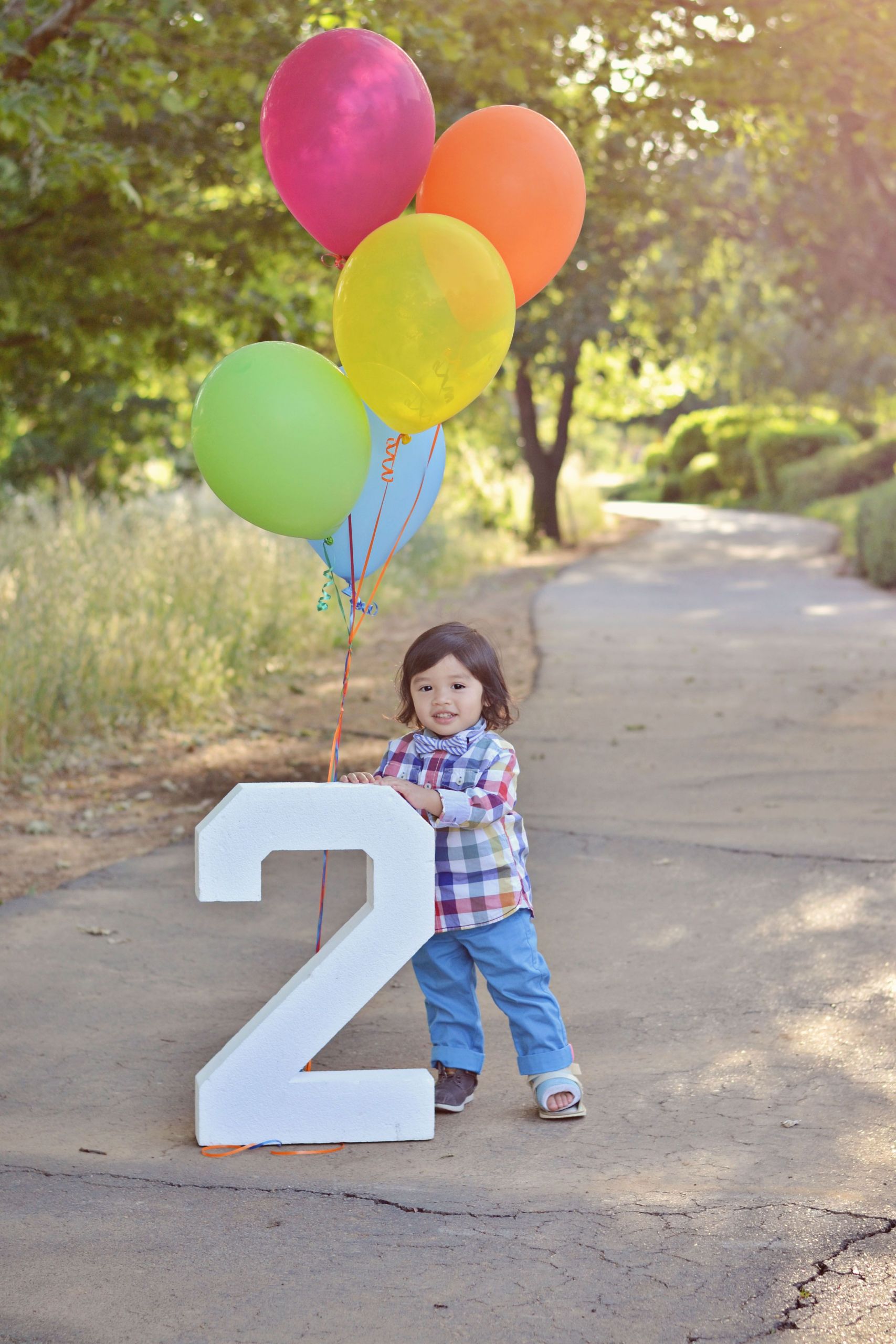 Birthday Party Ideas For 2 Year Old Boy
 Happy birthday Two year old boy child kid balloons 2 pose