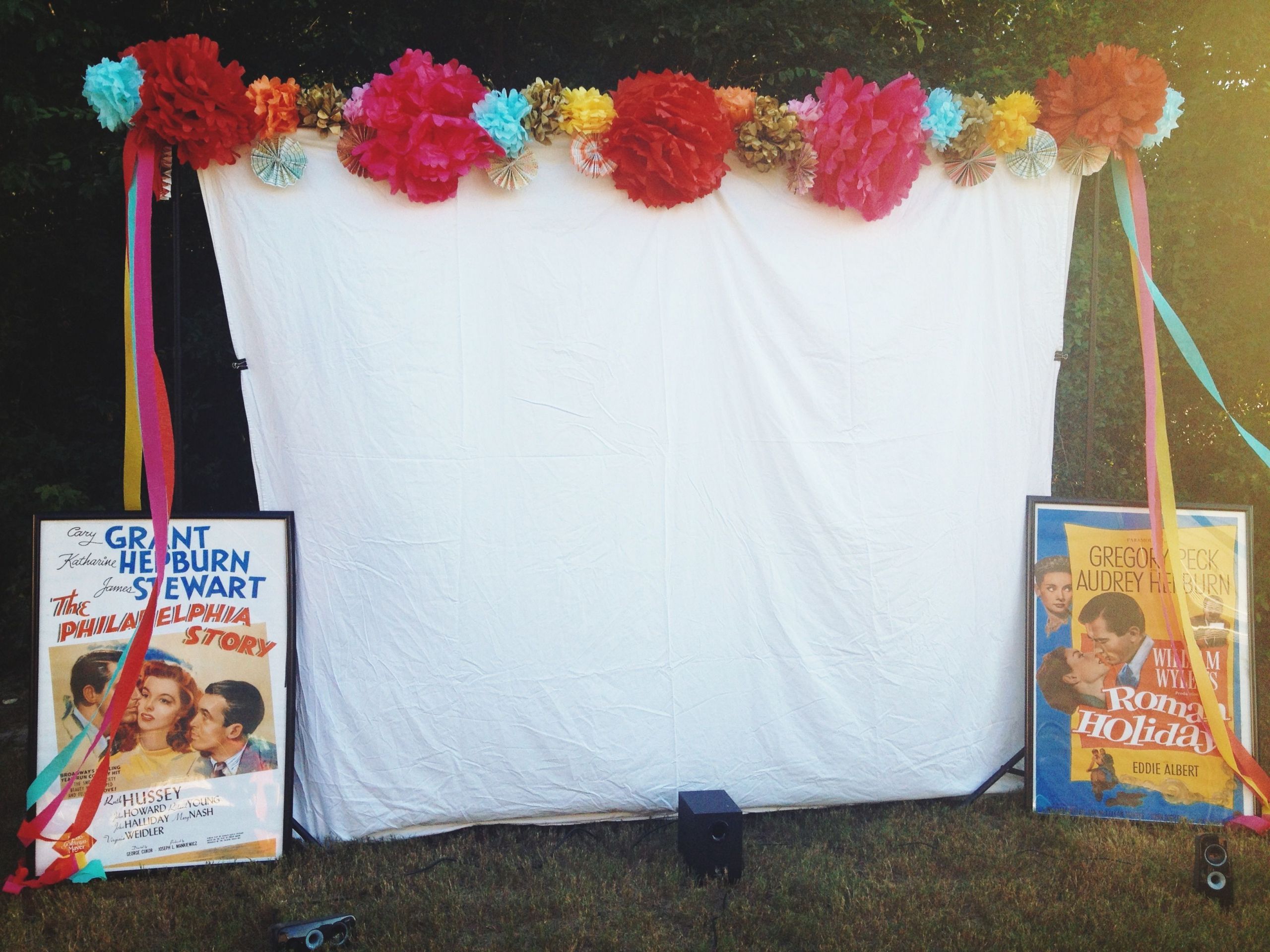 Birthday Party Ideas Raleigh Nc
 A Backyard movie night party that I threw for my friend