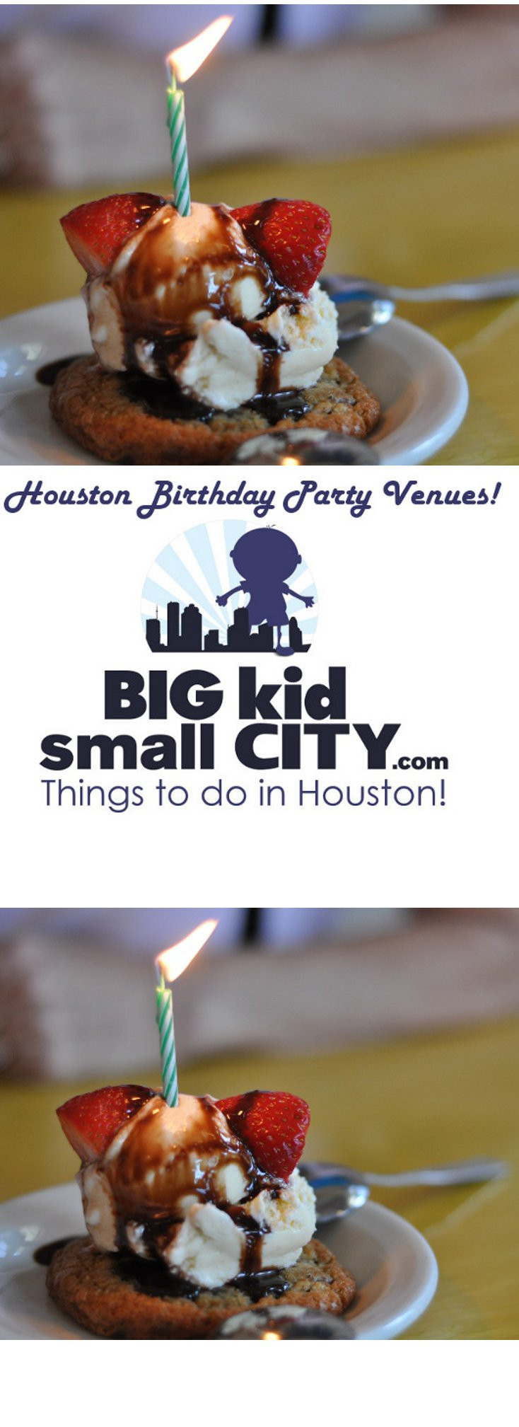 Birthday Party Places Houston
 Birthday Party Venues in Houston… Where to Have Your Next