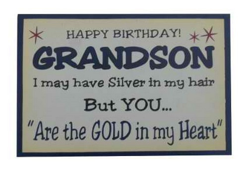 Birthday Quotes For Grandson
 35 Happy Birthday Grandson Wishes