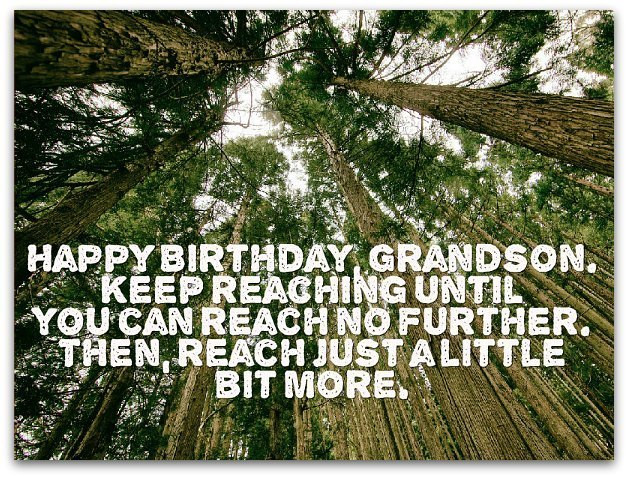 Birthday Quotes For Grandson
 Grandson Birthday Wishes Page 2