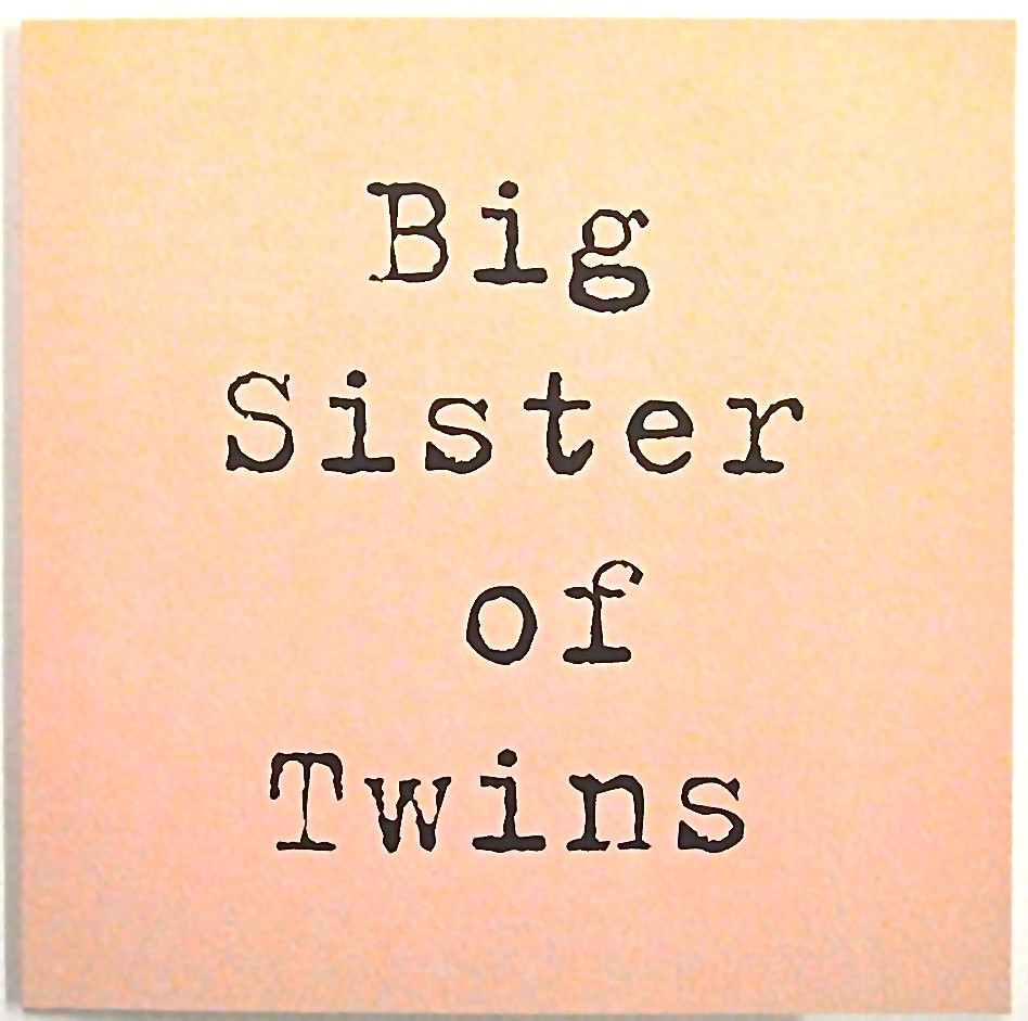 Birthday Quotes For Twins
 Birthday Quotes For Twins QuotesGram