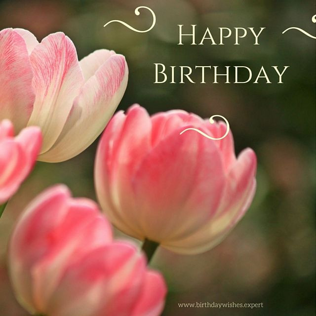 Birthday Quotes With Flowers
 160 best Happy birthday flower images on Pinterest